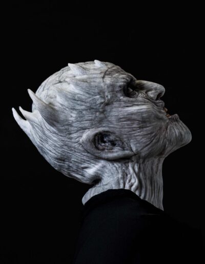 Imagen de WhatsApp 2025 01 25 a las 11.44.10 161f36b8